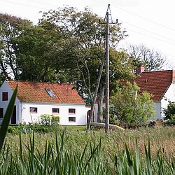 Her har ornit.dk til huse, i Tømmerby ved Vejlerne.